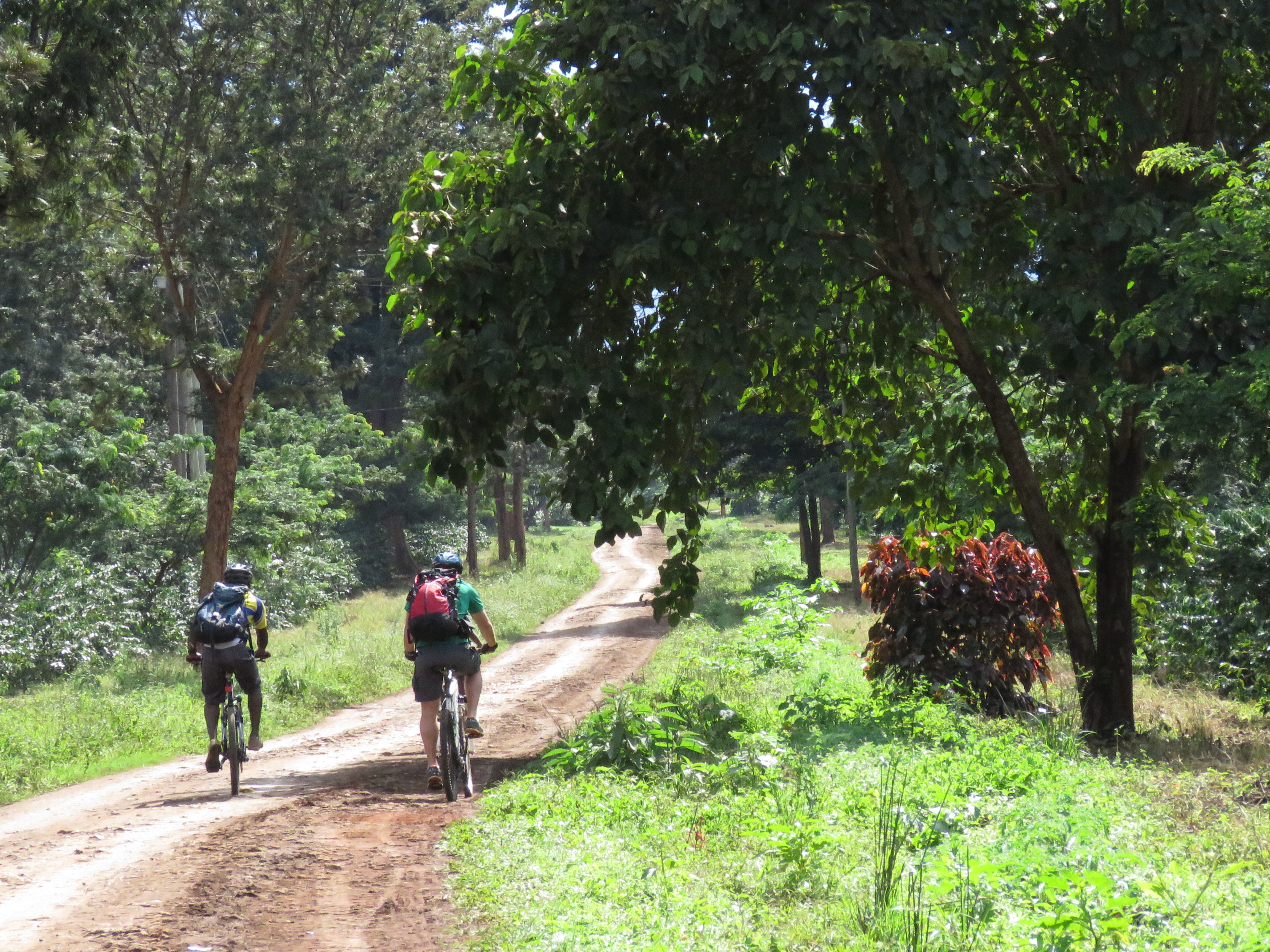 wp-content/uploads/itineraries/Kilimanjaro/tz-biking (3).jpg